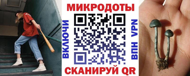 Псилоцибиновые грибы Psilocybe Верхнеуральск